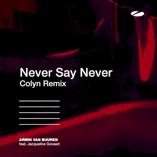 Never Say Never (Colyn remix)