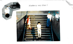 blueberry, very blue I