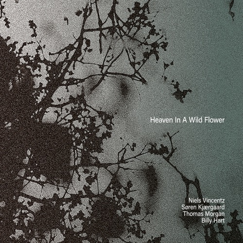 Heaven in a Wild Flower