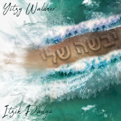 Yabasha Sheli
