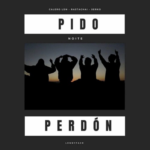 Pido Perdón (remix)