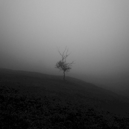Apocalypse