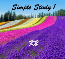 Simple Study 1