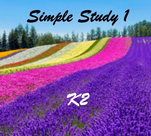 Simple Study 1