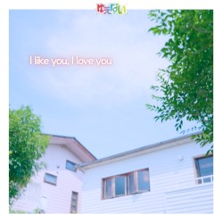 I like you, I love you