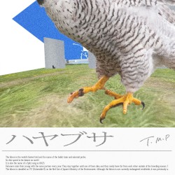 ハヤブサ