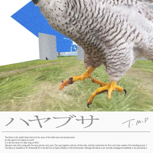 ハヤブサ