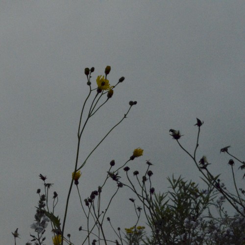 ＥＮＴＲＯＰＹ