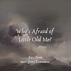 Who’s Afraid of Little Old Me? (The Hard Rock Violin version)