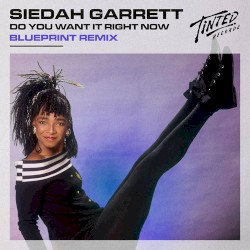 Do You Want It Right Now (BluePrint remix)
