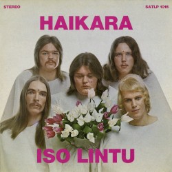Iso lintu