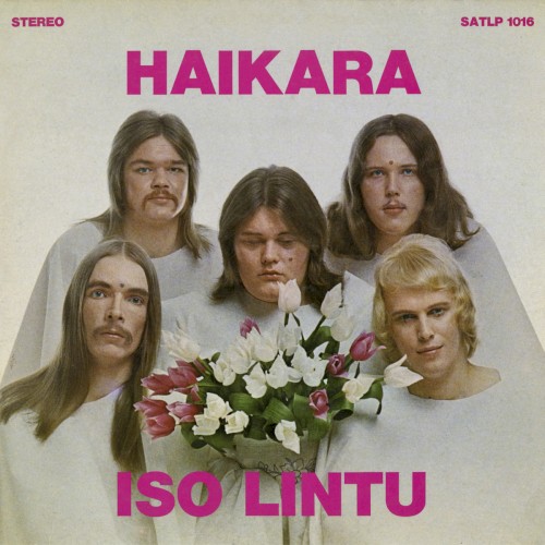 Iso lintu