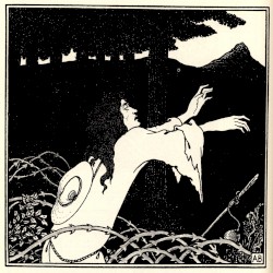 Musica Veneris Nocturnus