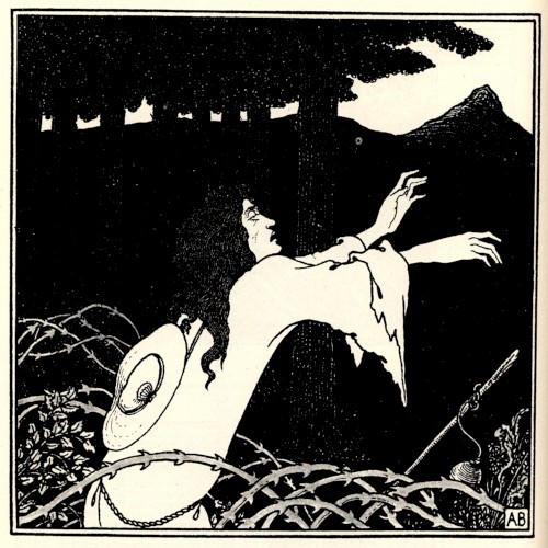 Musica Veneris Nocturnus