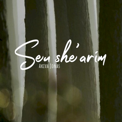 Seu She’arim