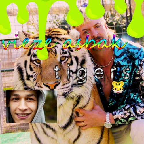 Tigers