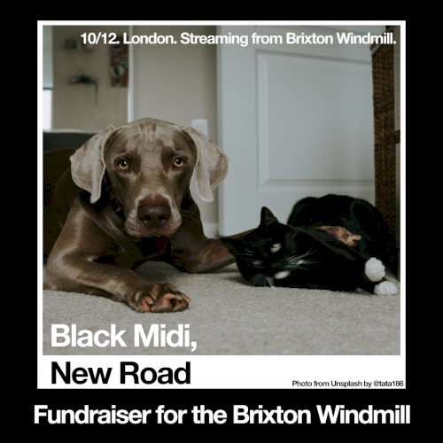 Black Midi, New Road