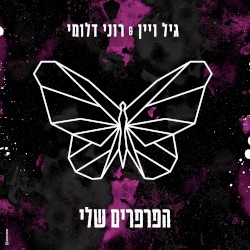 הפרפרים שלי