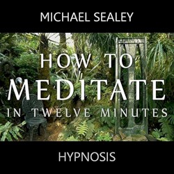 How to Meditate in Twelve Minutes