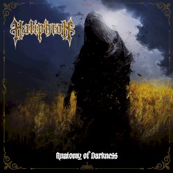 Anatomy of Darkness
