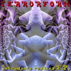 Introdance remixes E.P.