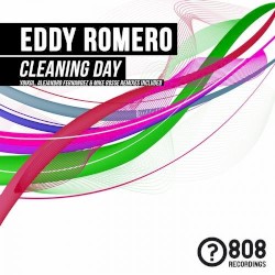 Cleaning Day