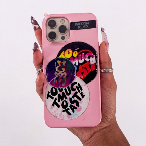 Too Much to Taste (Preditah remix)