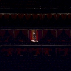 Live in the Royal Albert Hall