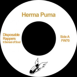 Disposable Rappers / Psyche Out