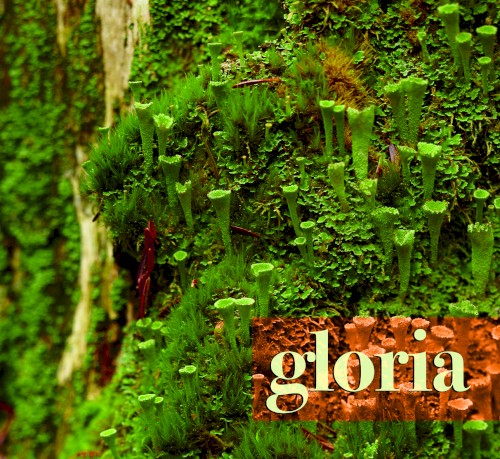 Gloria