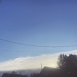 blue afternoon