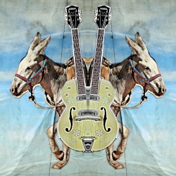 Stereo Donkey