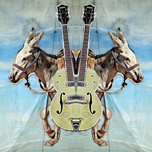 Stereo Donkey