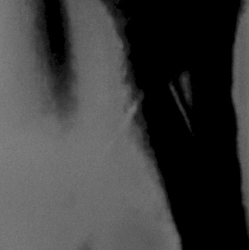 Collected Demos - 2024