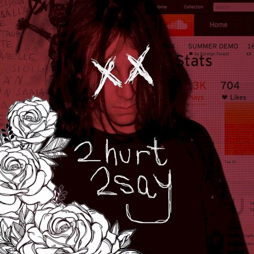 2hurt2say