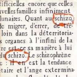 Le Voyageur / Torcol