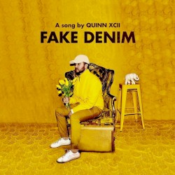 Fake Denim