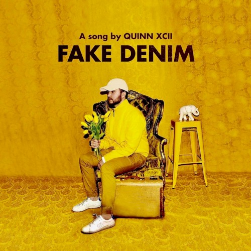 Fake Denim