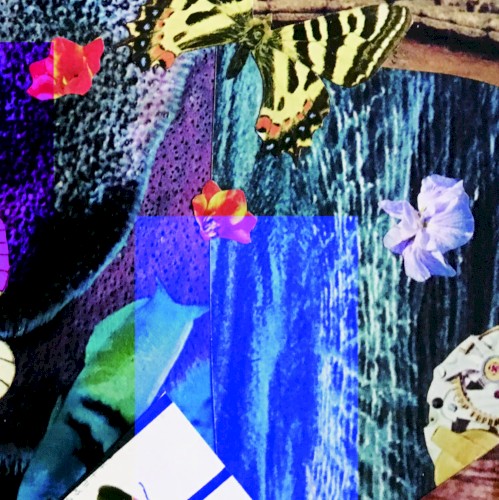 Insect 801