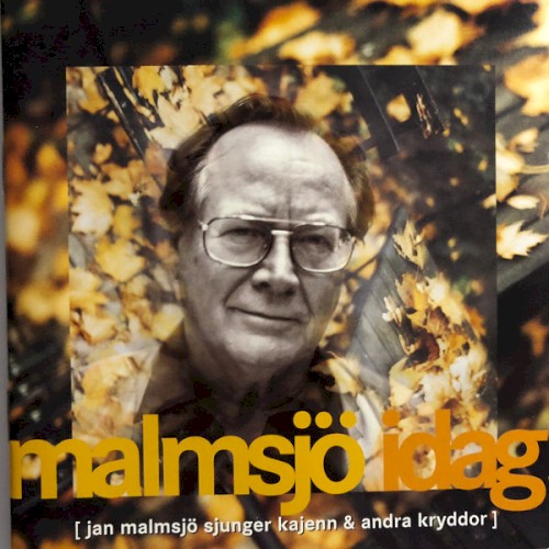 Malmsjö idag!