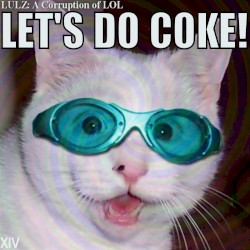 Lulz: A Corruption of LOL - XIV - Let’s Do Coke!