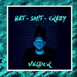 Bat Shit Crazy