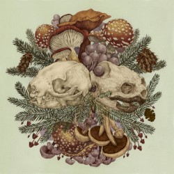 Sloth & Turtle