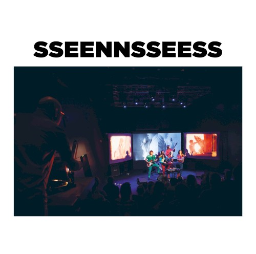 SSEENNSSEESS