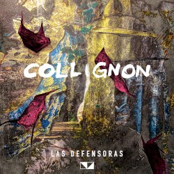Las Defensoras