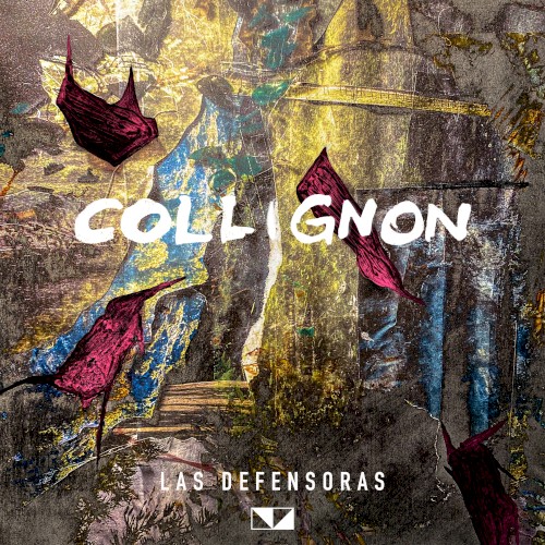 Las Defensoras