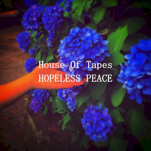 HOPELESS PEACE