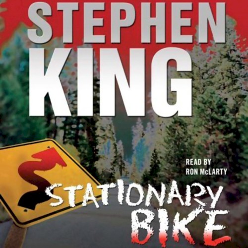 Stationary Bike