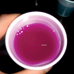 Åtta shots
