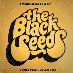 One More Time (The Black Seeds Remix)